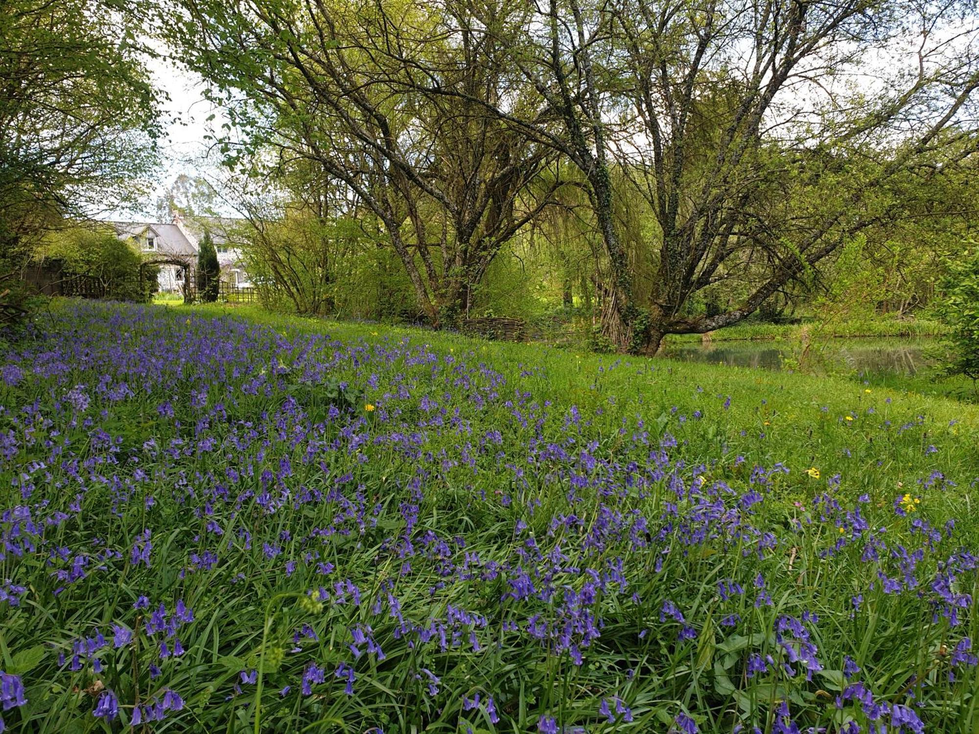 Вилла Fermette Dans Les Pays De La Loire Ize Экстерьер фото