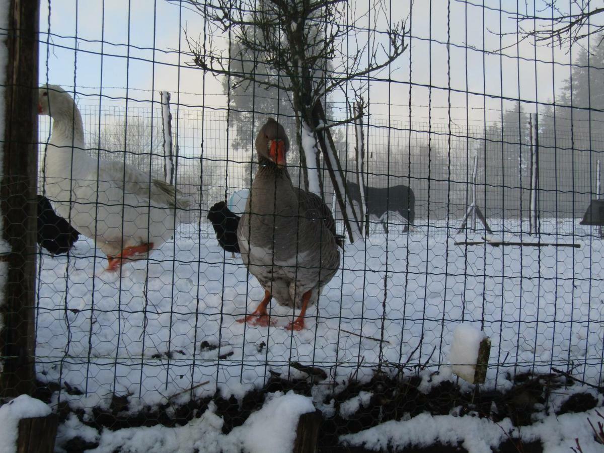 Вилла Fermette Dans Les Pays De La Loire Ize Экстерьер фото