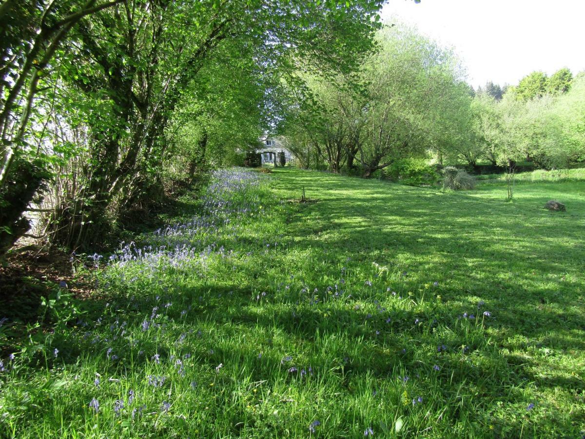 Вилла Fermette Dans Les Pays De La Loire Ize Экстерьер фото