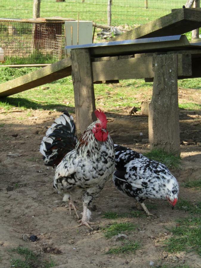 Вилла Fermette Dans Les Pays De La Loire Ize Экстерьер фото